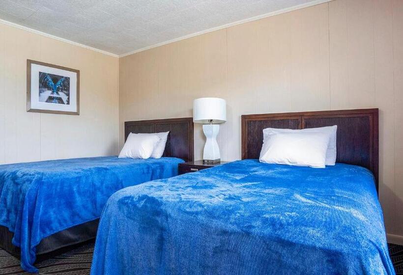 חדר סטנדרט, OYO Hotel Opp AL, Floral Hwy