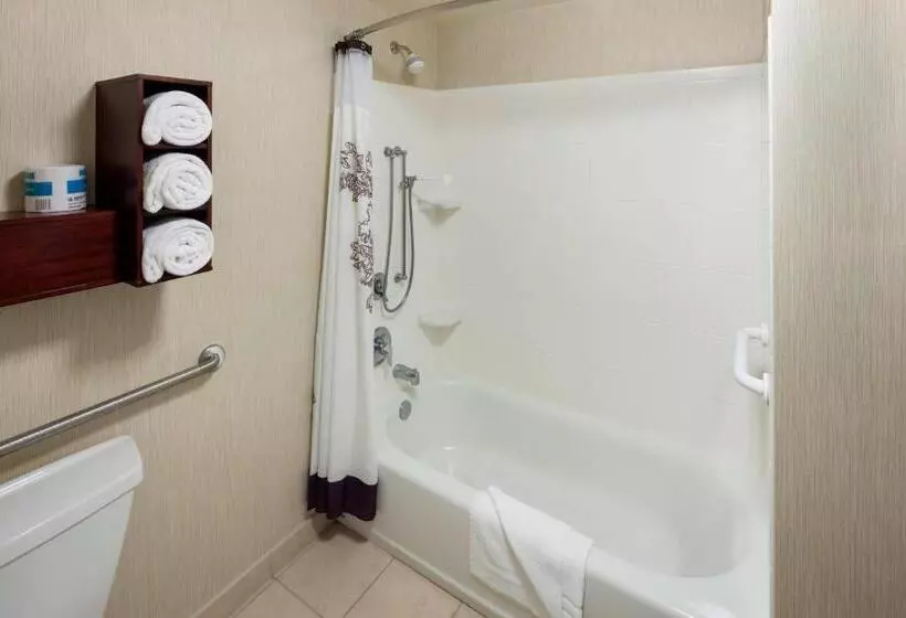 Sviitti King-vuode, Residence Inn Jackson Ridgeland