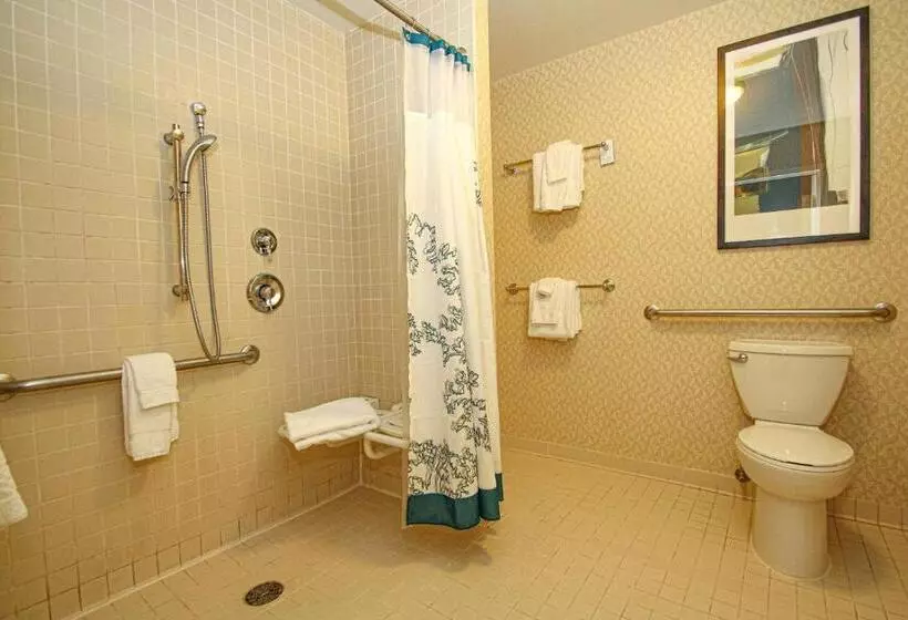 Deluxe Suite King Bed, Residence Inn Newport News Airport