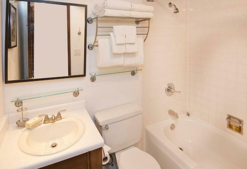 Апартаменты 1 Спальня, Vail Run Resort