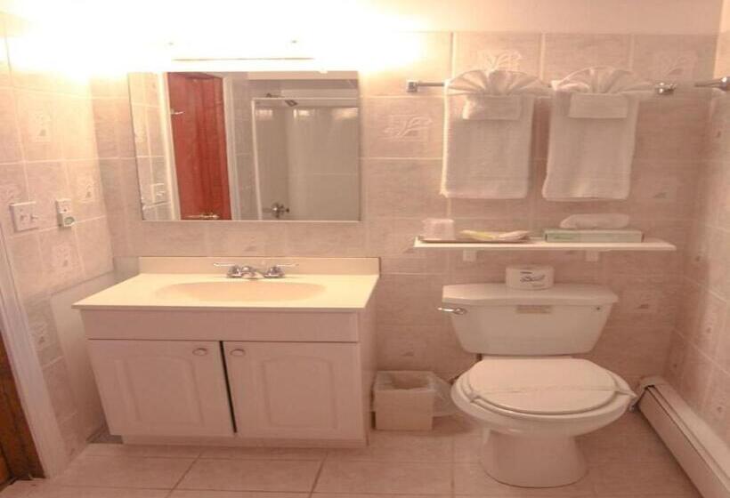 غرفة قياسية, Willows Motel