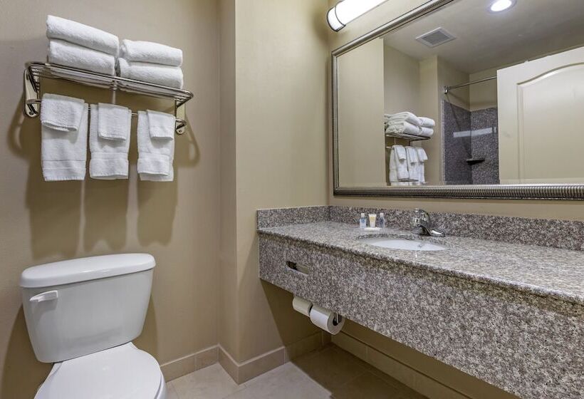 스탠다드 룸 더블 침대 2개, Comfort Inn & Suites High Point  Archdale