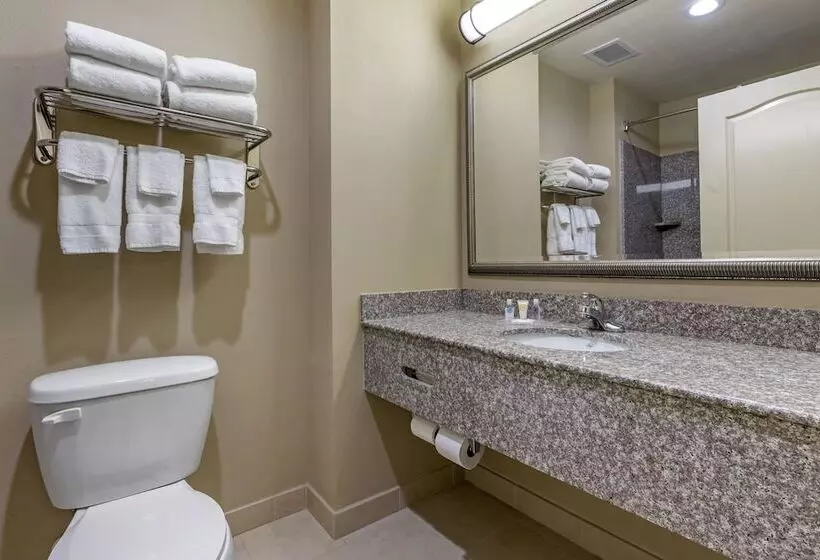 ２ダブルベッドのスタンダードルーム, Comfort Inn & Suites High Point  Archdale