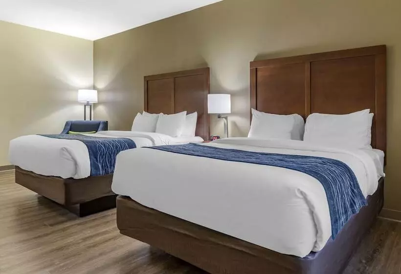 ２ダブルベッドのスタンダードルーム, Comfort Inn & Suites High Point  Archdale