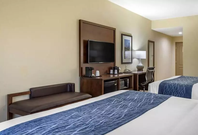 ２ダブルベッドのスタンダードルーム, Comfort Inn & Suites High Point  Archdale