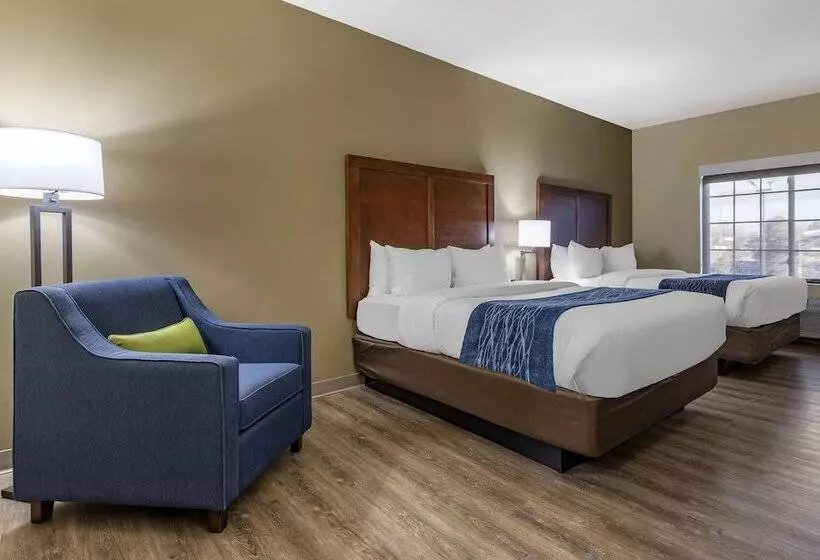 ２ダブルベッドのスタンダードルーム, Comfort Inn & Suites High Point  Archdale
