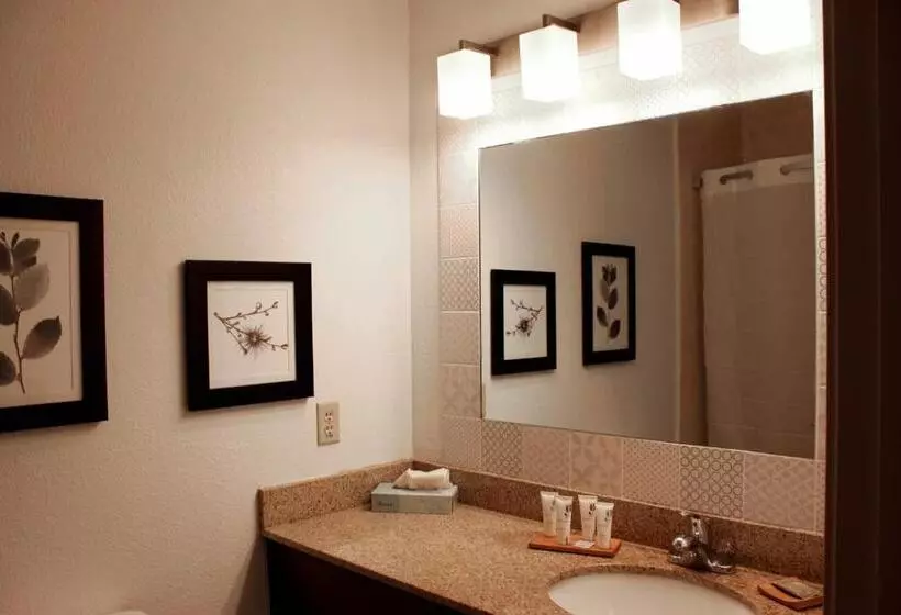 キングサイズベッドのスイートルーム, Country Inn & Suites By Radisson, Marion, Il