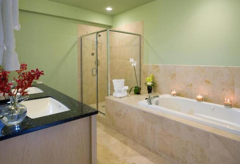 带1个卧室的豪华公寓, Grand Eastonian Hotel & Suites Easton