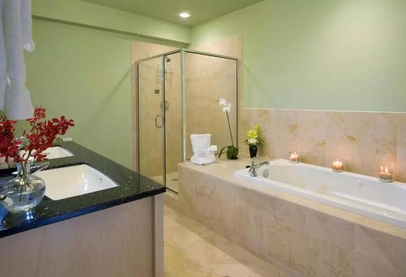 １ベッドルームのデラックスアパートメント, Grand Eastonian Hotel & Suites Easton