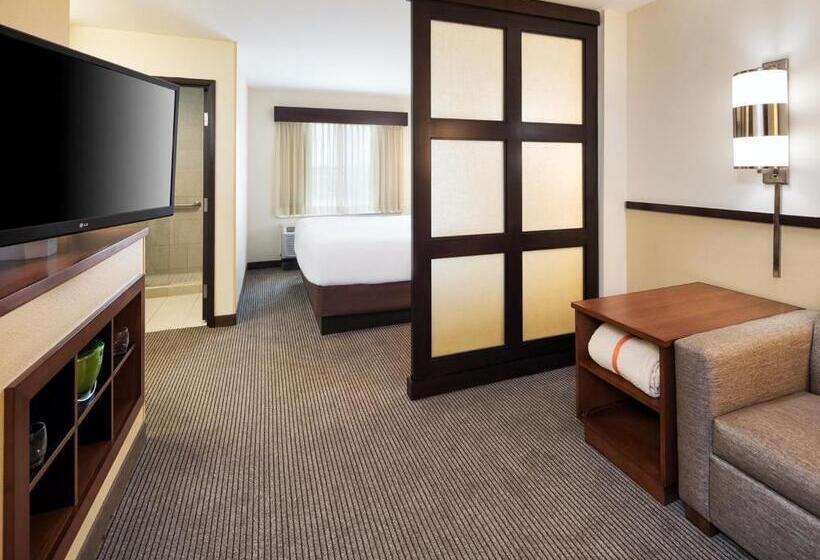غرفة قياسية سرير كينج, Hyatt Place South Bend/mishawaka