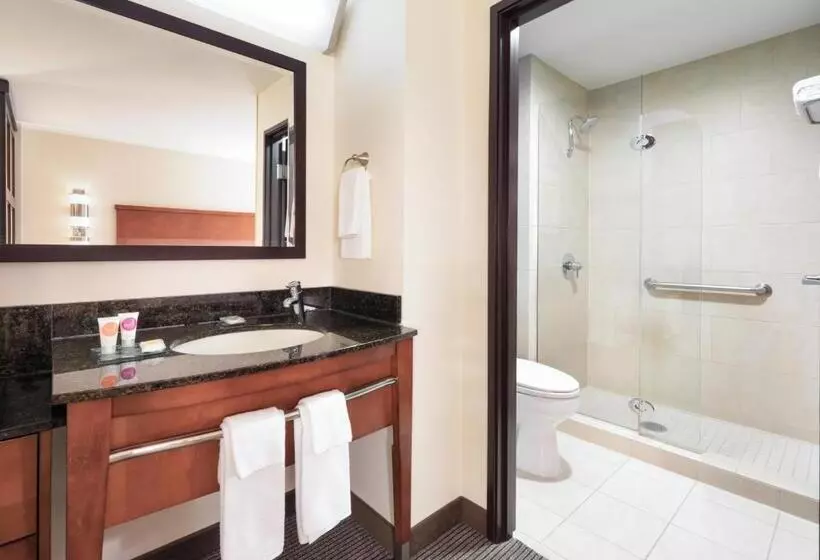 身障者適用キングサイズベッドルーム, Hyatt Place South Bend/mishawaka