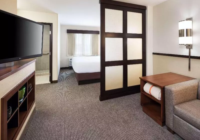 キングサイズベッドのスタンダードルーム, Hyatt Place South Bend/mishawaka