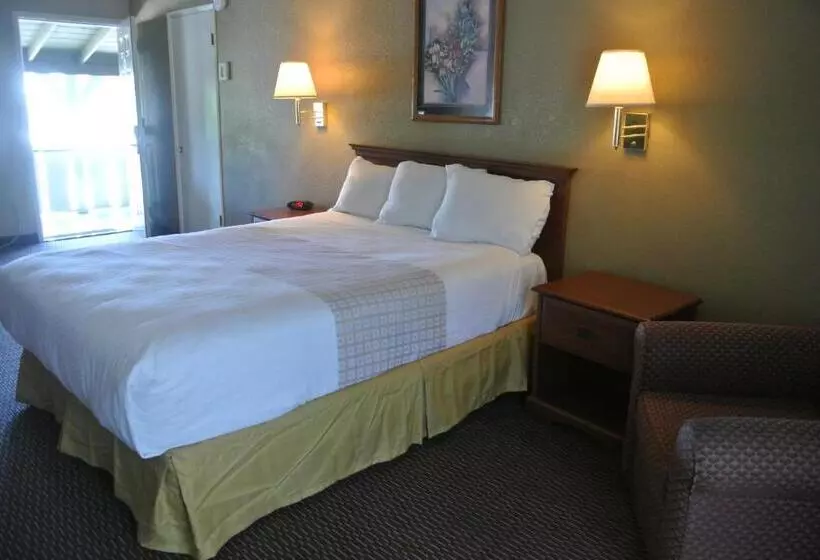 スタンダードルーム, Vino Inn & Suites