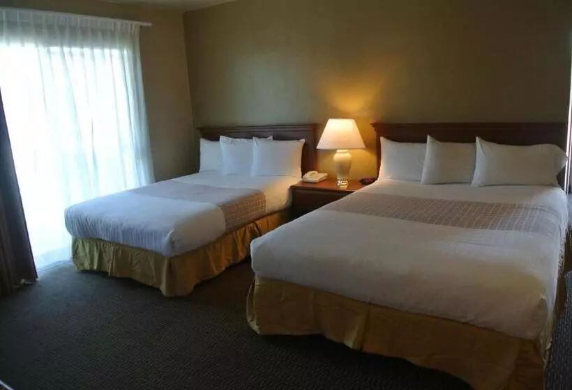 スタンダードルーム, Vino Inn & Suites