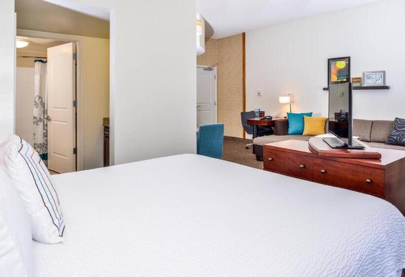 Студио Стандарт Кровать Кинг, Residence Inn Waynesboro
