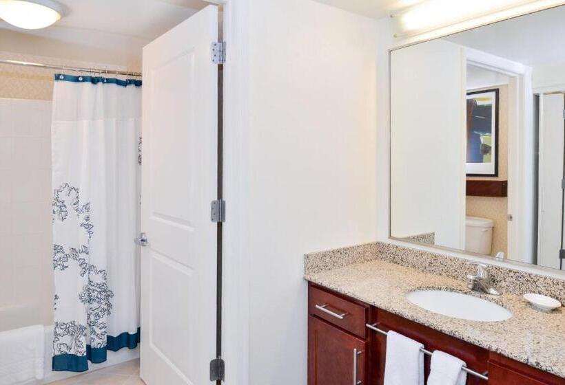 带大床的套房, Residence Inn Waynesboro