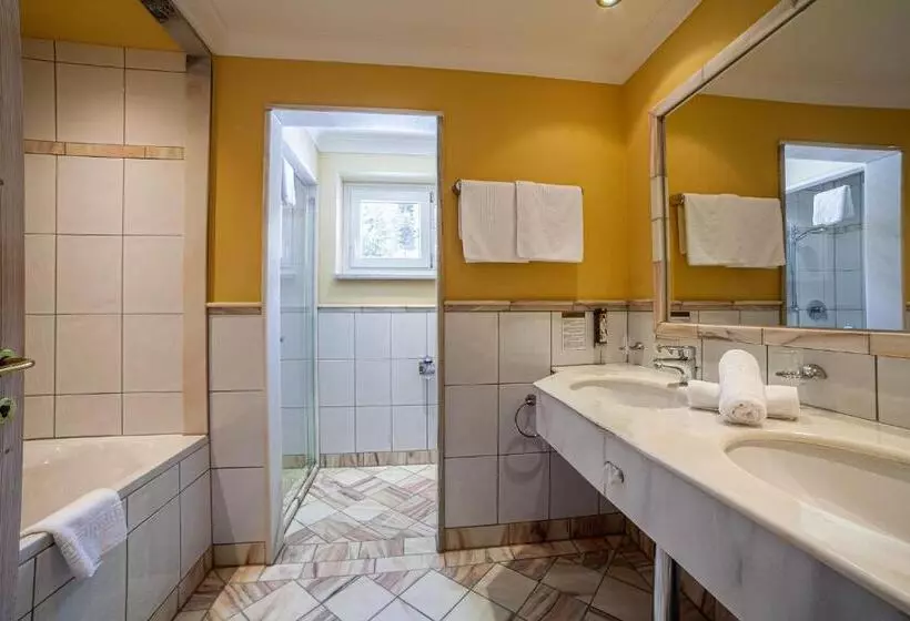 آپارتمان 1 خوابه با چشم‌انداز, Sport  Und Vitalhotel Seppl