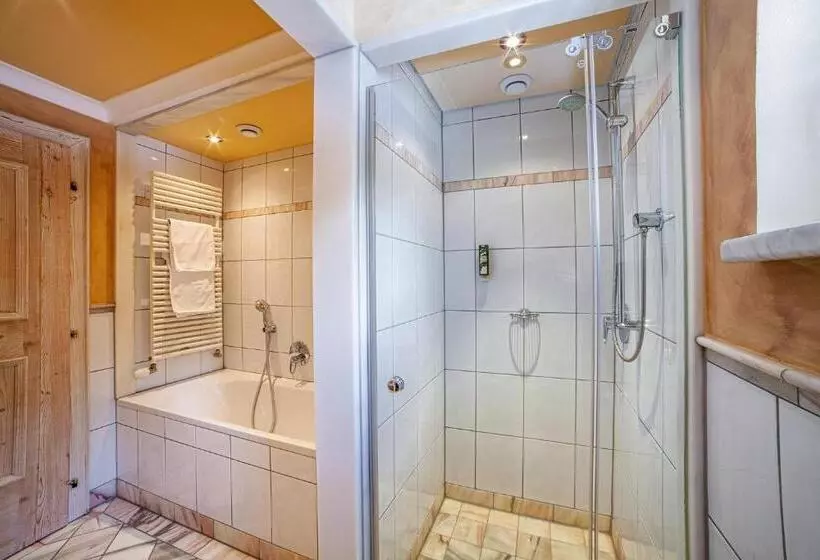 آپارتمان 1 خوابه با چشم‌انداز, Sport  Und Vitalhotel Seppl