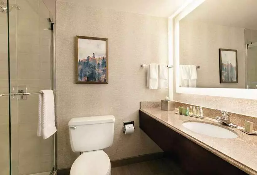 キングサイドベッドのスタンダードワンルーム, Home2 Suites By Hilton Fayetteville Fort Bragg