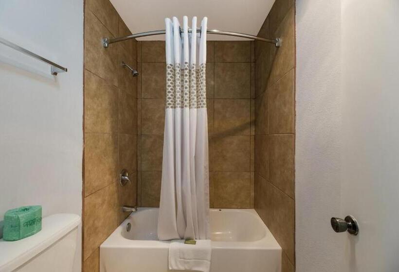 اتاق استاندارد, Americas Best Value Inn Alpine