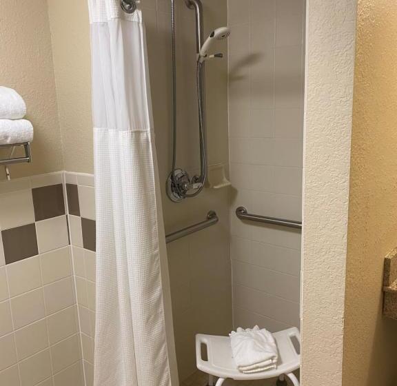 غرفة قياسية سرير كينج لذوى الإحتياجات الخاصة, Americinn By Wyndham Anamosa