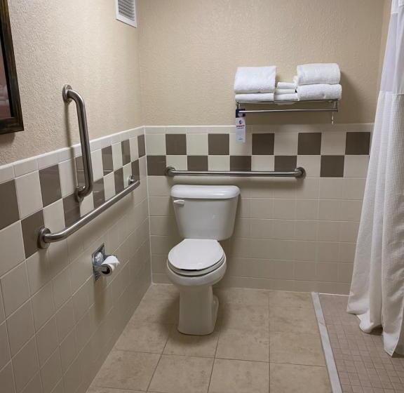 غرفة ديلوكس لذوى الاحتياجات الخاصة, Americinn By Wyndham Anamosa