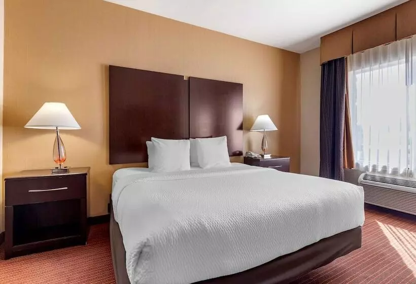 سوییت, Best Western Plus Dfw Airport West Euless