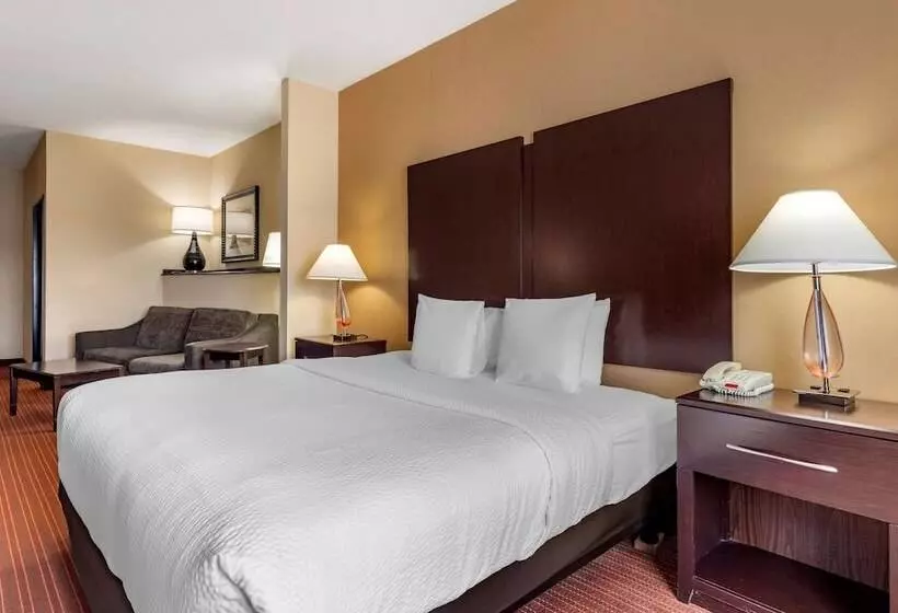 سوییت, Best Western Plus Dfw Airport West Euless