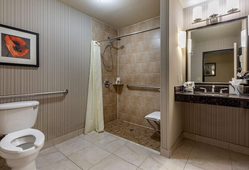 套房, Best Western Plus Dfw Airport West Euless