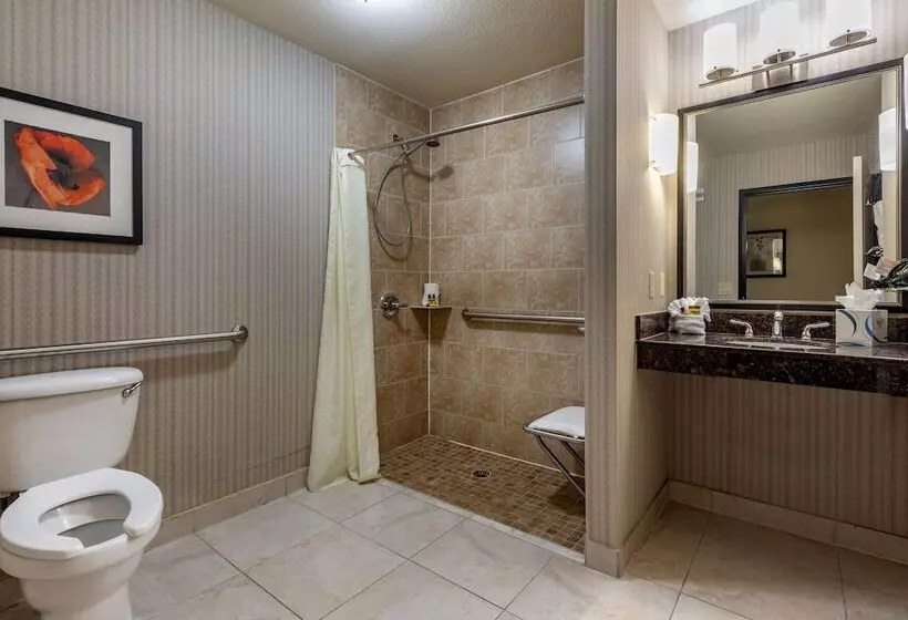سوییت, Best Western Plus Dfw Airport West Euless