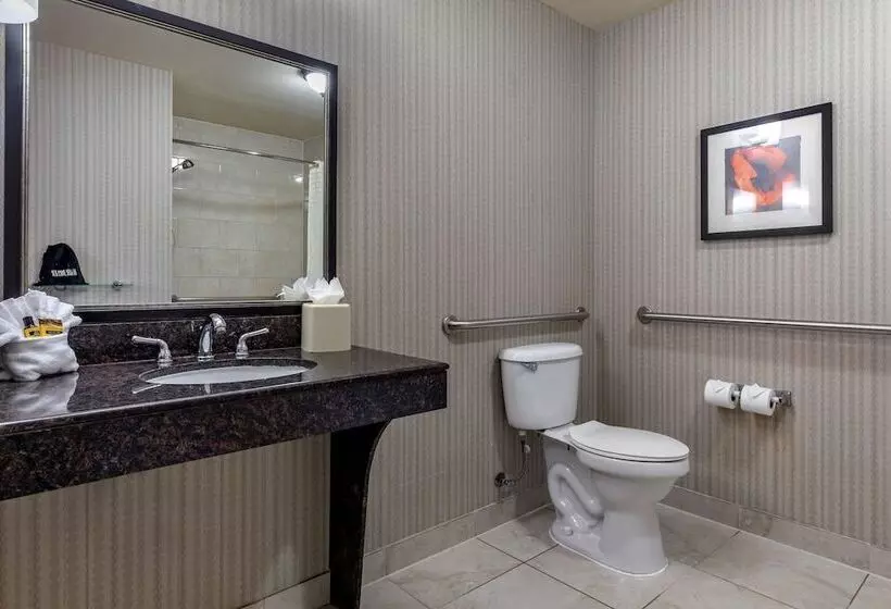 سوییت, Best Western Plus Dfw Airport West Euless