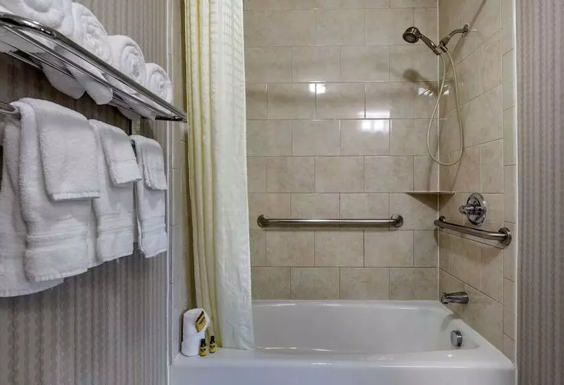 سوییت, Best Western Plus Dfw Airport West Euless