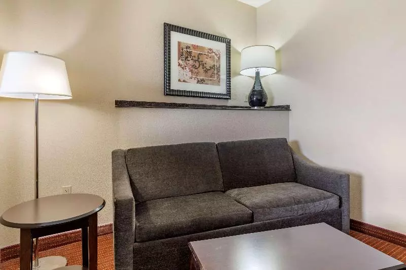 سوئیت با تخت بزرگ, Best Western Plus Dfw Airport West Euless