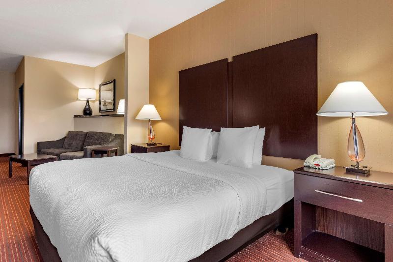 스위트 킹사이즈 침대, Best Western Plus Dfw Airport West Euless