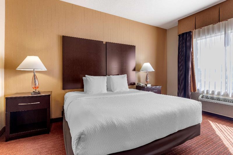 带大床的套房, Best Western Plus Dfw Airport West Euless