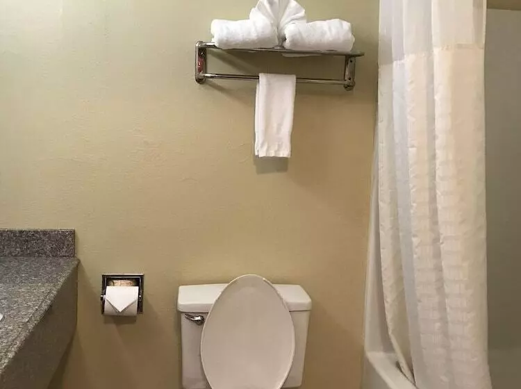 キングサイズベッドのデラックスルーム, Budget Inn Madill