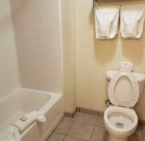اتاق استاندارد با تخت بزرگ, Cody Legacy Inn & Suites