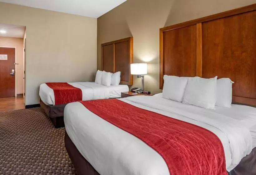 スタンダードルーム, Comfort Inn & Suites Atokamillington
