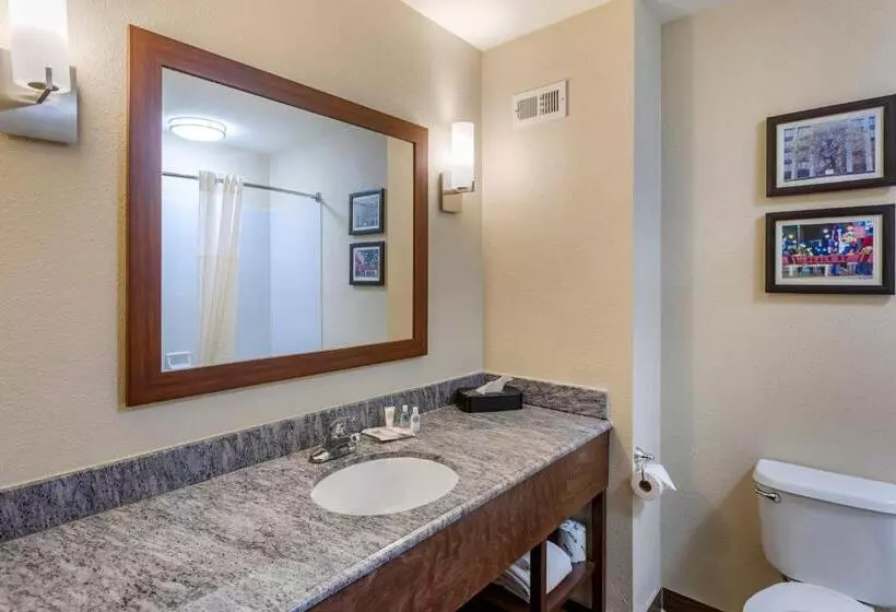スタンダードルーム, Comfort Inn & Suites Atokamillington