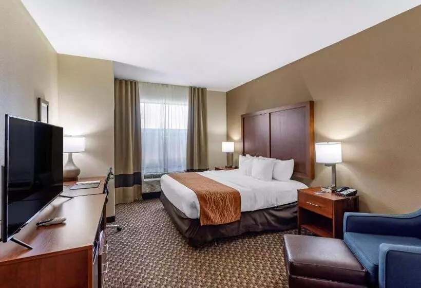 身障者適用キングサイズベッドルーム, Comfort Inn & Suites Atokamillington
