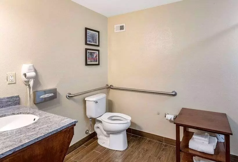 身障者適用スイートルーム, Comfort Inn & Suites Atokamillington