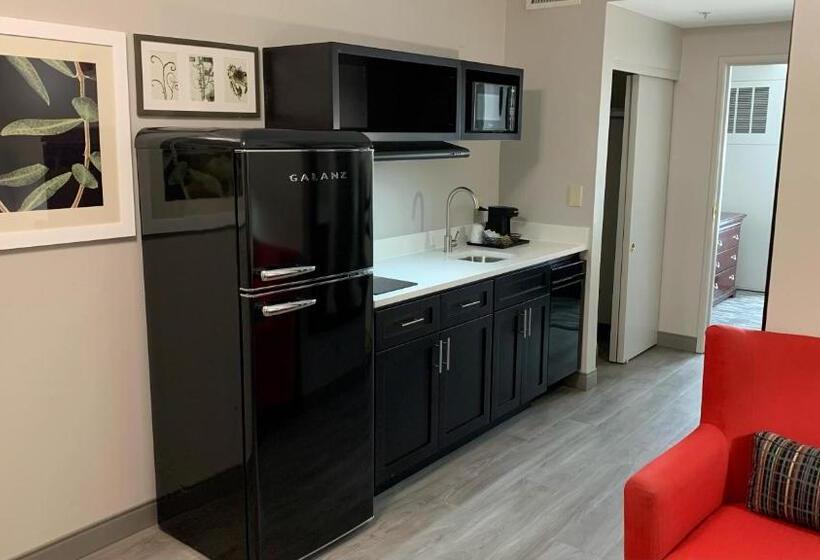 سوئیت با تخت بزرگ, Country Inn & Suites By Radisson, Tucson City Center, Az