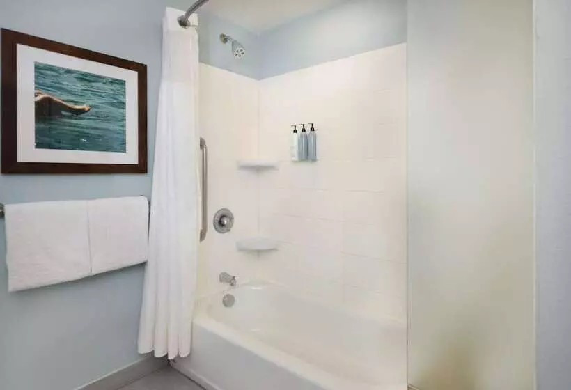 ２ダブルベッドのスタンダードルーム, Courtyard By Marriott New Braunfels River Village