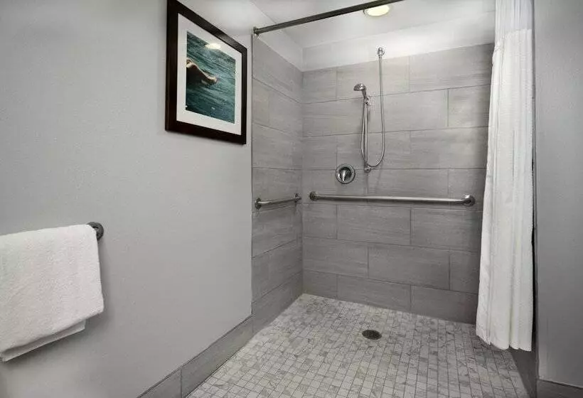 スタンダードルーム, Courtyard By Marriott New Braunfels River Village