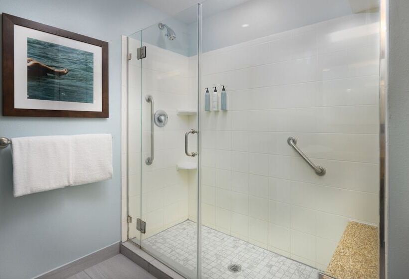 Номер Стандарт Двуспальная Кровать, Courtyard By Marriott New Braunfels River Village