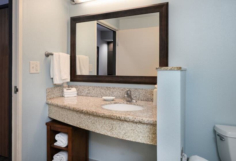 غرفة قياسية سرير مزدوج, Courtyard By Marriott New Braunfels River Village