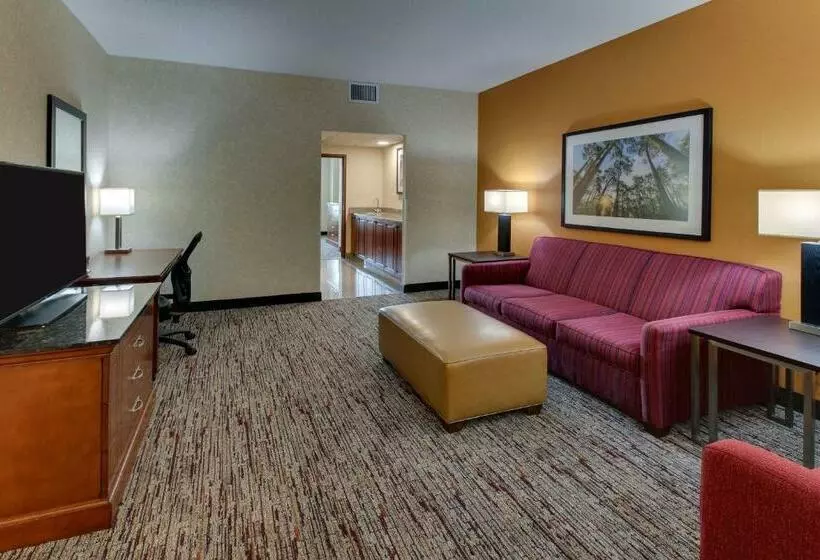 キングサイズベッドのスイートルーム, Drury Inn & Suites Meridian