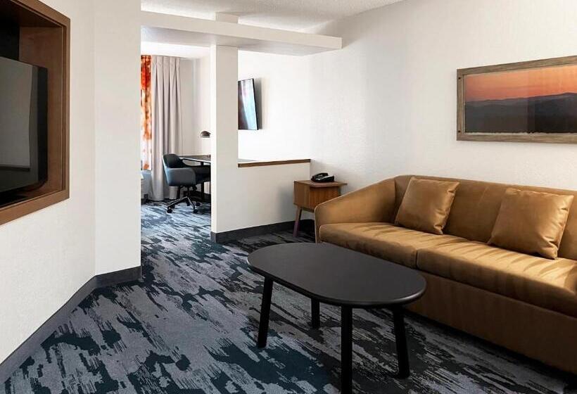 스위트 킹사이즈 침대, Fairfield Inn & Suites By Marriott Rogers