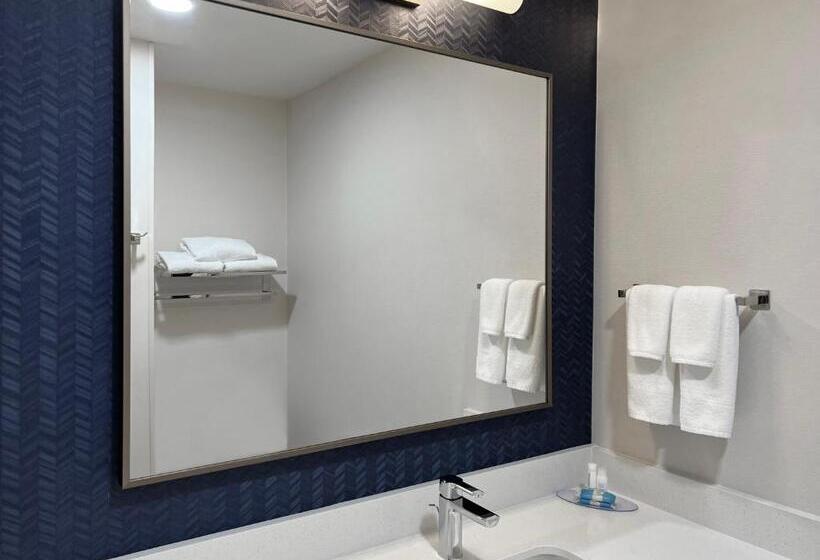 장애인을 위한 킹사이즈 침대 스탠다드 룸, Fairfield Inn & Suites By Marriott Rogers