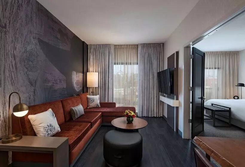 Deluxe-sviitti, Hyatt Centric The Woodlands